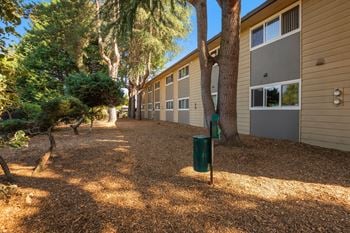 <B>dog park</b> - a spacious area for your dog to run and play